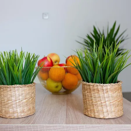 Apartman Adriana *